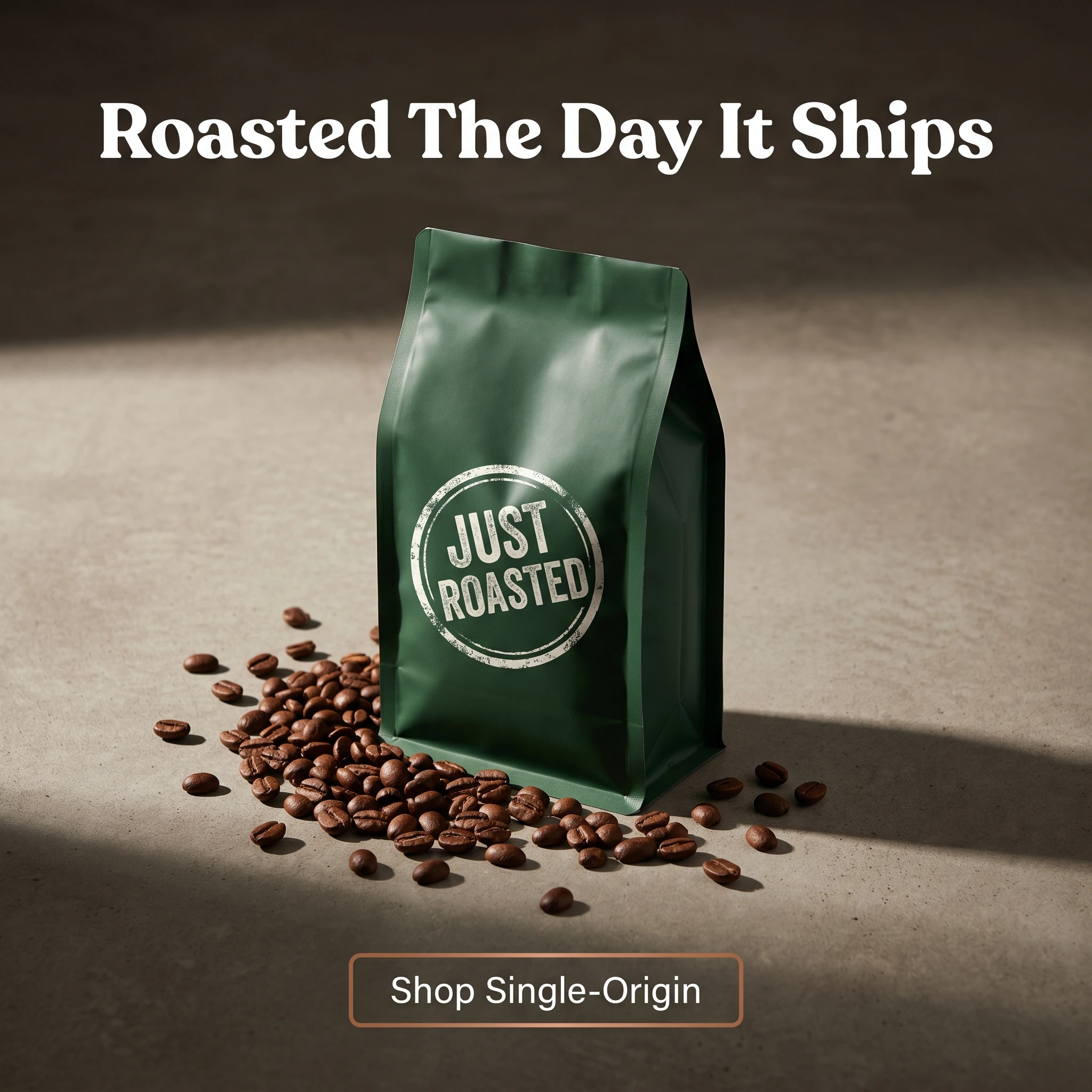 Coffee brand hero ad example: a bag of whole-bean coffee with a visible roast date and headline 'Roasted The Day It Ships'