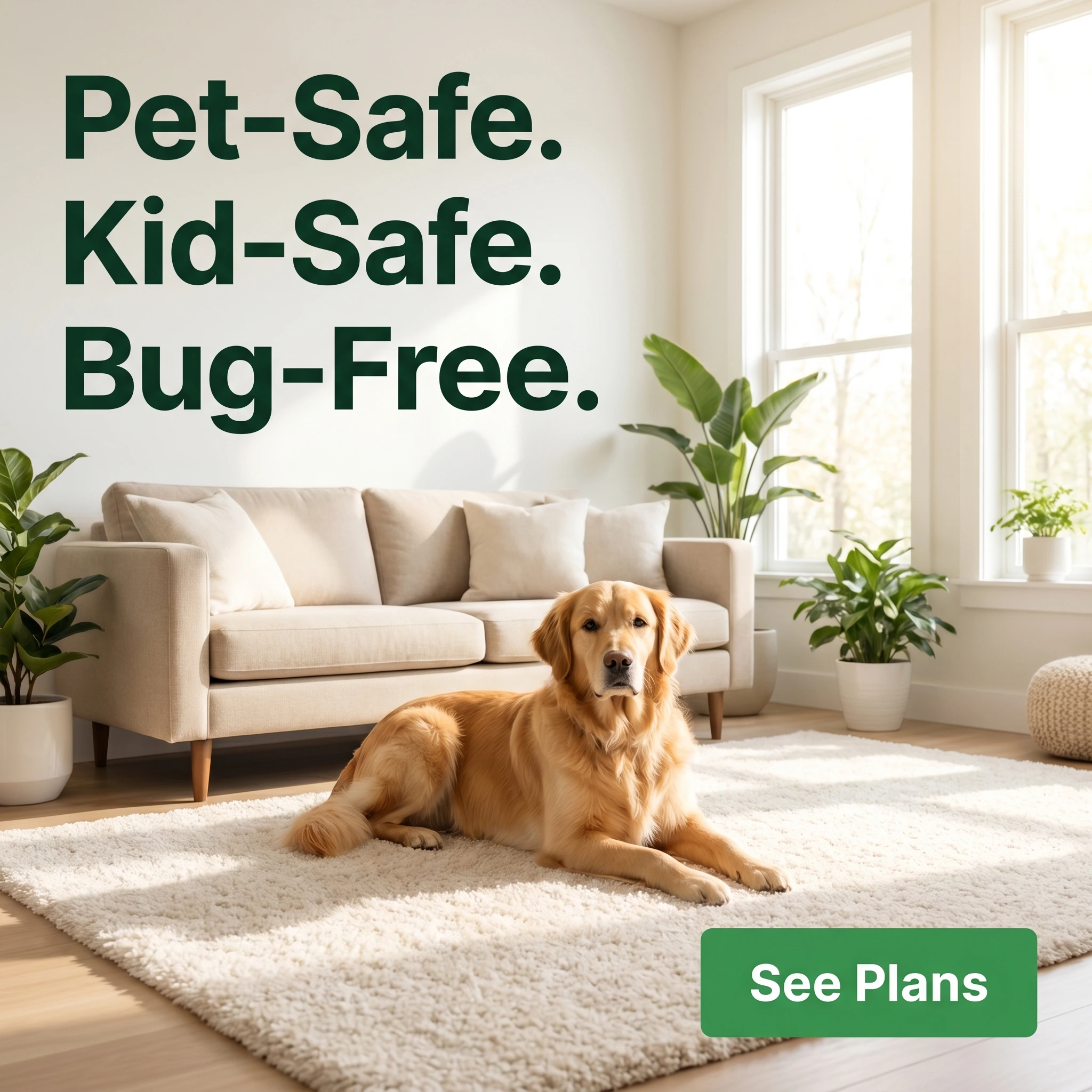 Pest control hero ad example: a family-safe clean home interior with a pet with headline 'Pet-Safe. Kid-Safe. Bug-Free.'