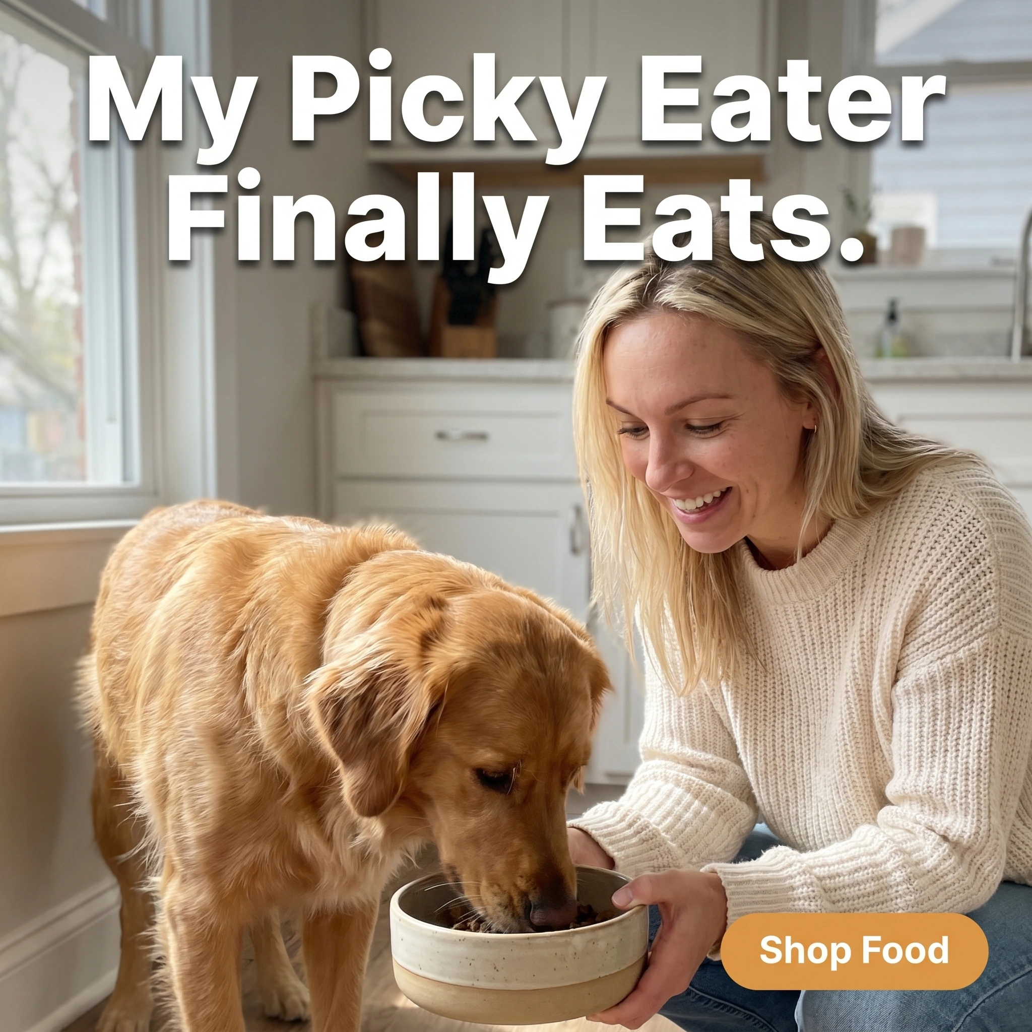 UGC-style pet store ad example: a dog eagerly eating from a bowl while its owner watches, headline 'My Picky Eater Finally Eats.'