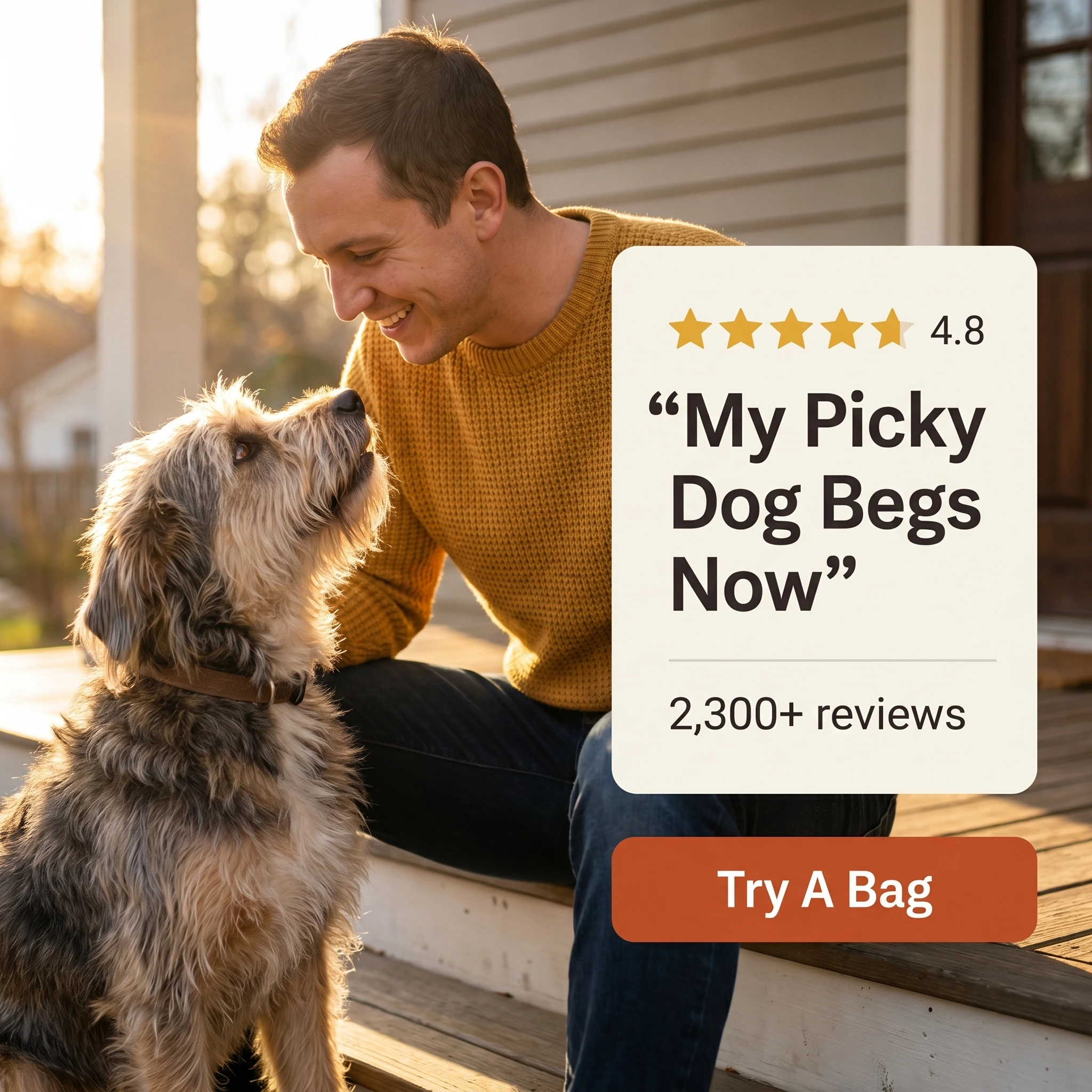 Shopify store testimonial ad example: dog owner with his terrier beside a five-star quote card reading 'My Picky Dog Begs Now'
