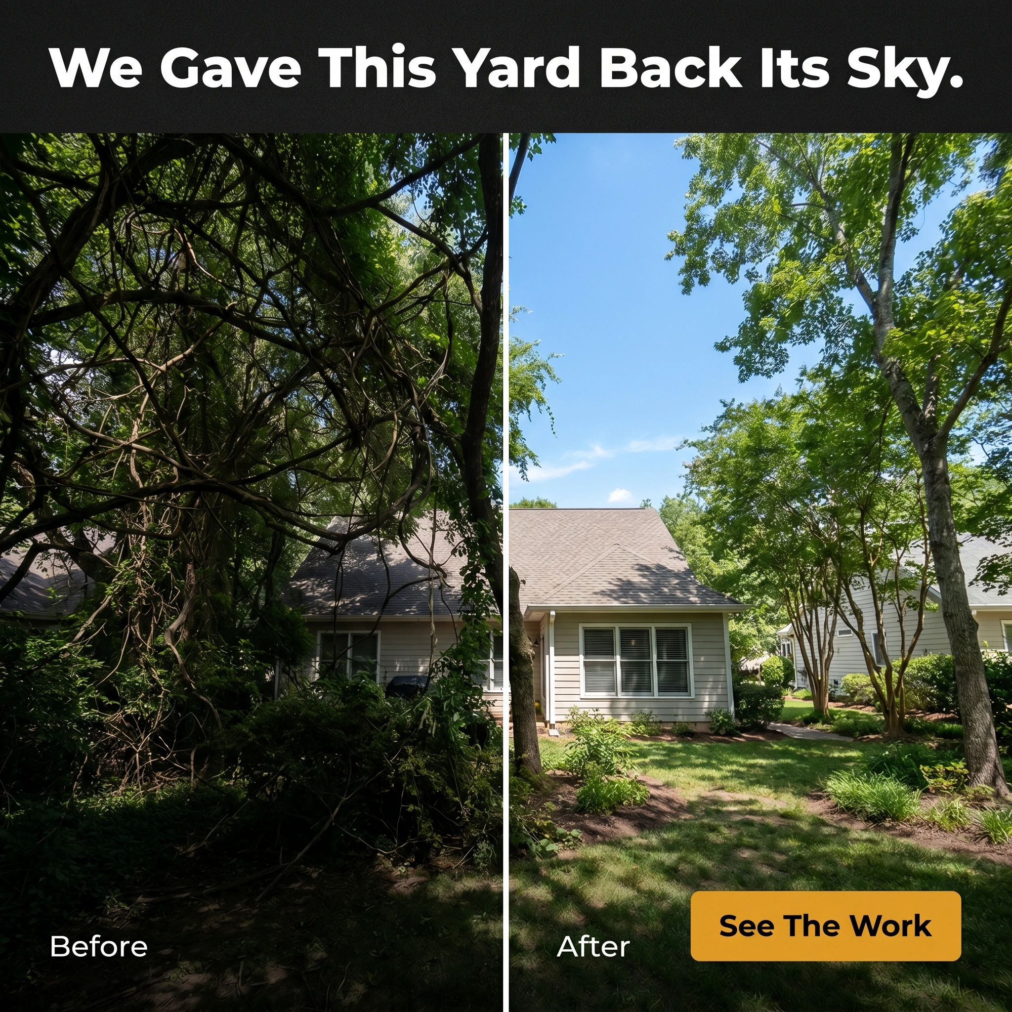 Before-and-after tree service ad example: split frame of a yard choked by overgrown trees and the same yard cleared and sunlit with headline 'We Gave This Yard Back Its Sky'