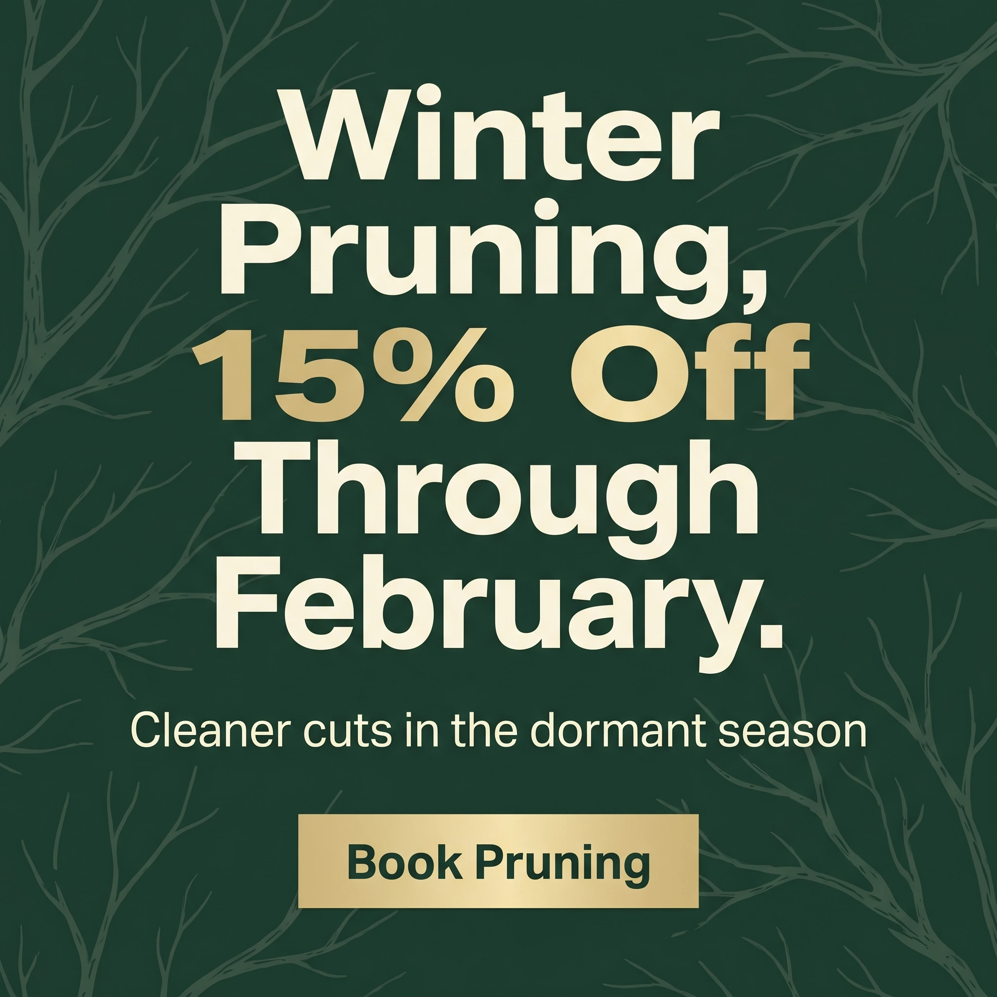 Tree service offer ad example: typography-led promo reading 'Winter Pruning, 15% Off Through February'